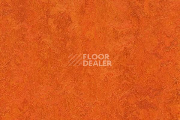 Линолеум Marmoleum Decibel on Order 312635 Kyoto фото 1 | FLOORDEALER